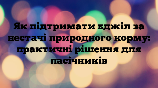 Як підтримати бджіл за нестачі природного корму: практичні рішення для пасічників